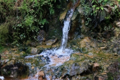 Caldeira Velha