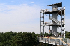 Baumwipfelpfad