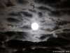 mond.04-2