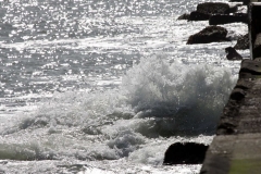 Meer