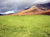 SCHOTTLAND_2009_10_11_3424